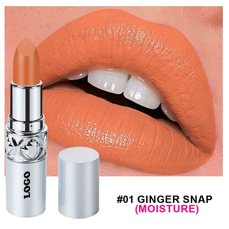 24 Colors Of Silver Tube Moisturizing Lipstick Long-lasting Color Retention Makeup
