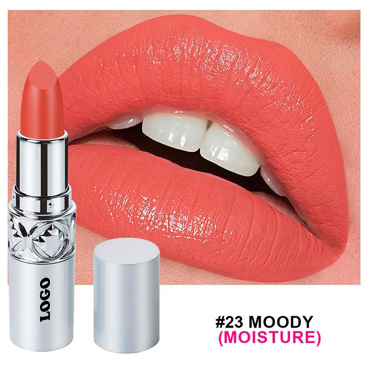 24 Colors Of Silver Tube Moisturizing Lipstick Long-lasting Color Retention Makeup