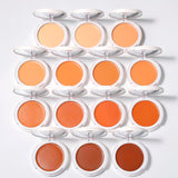 14 Colors Foundation Cream/Concealer/Base Makeup Cream