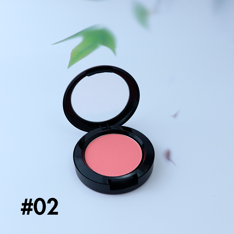 11 Color Single Color Blush【30-50-100-200PCS Free Shipping & Free Print Logo】