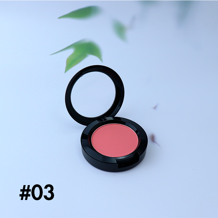 11 Color Single Color Blush【30-50-100-200PCS Free Shipping & Free Print Logo】