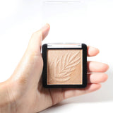 24 colors new highlight
