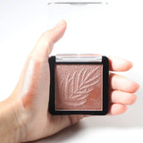 24 colors new highlight