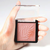 24 colors new highlight