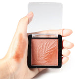 24 colors new highlight