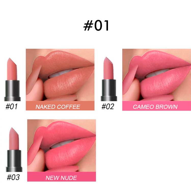 3-Piece Set Nude Matte Lipstick