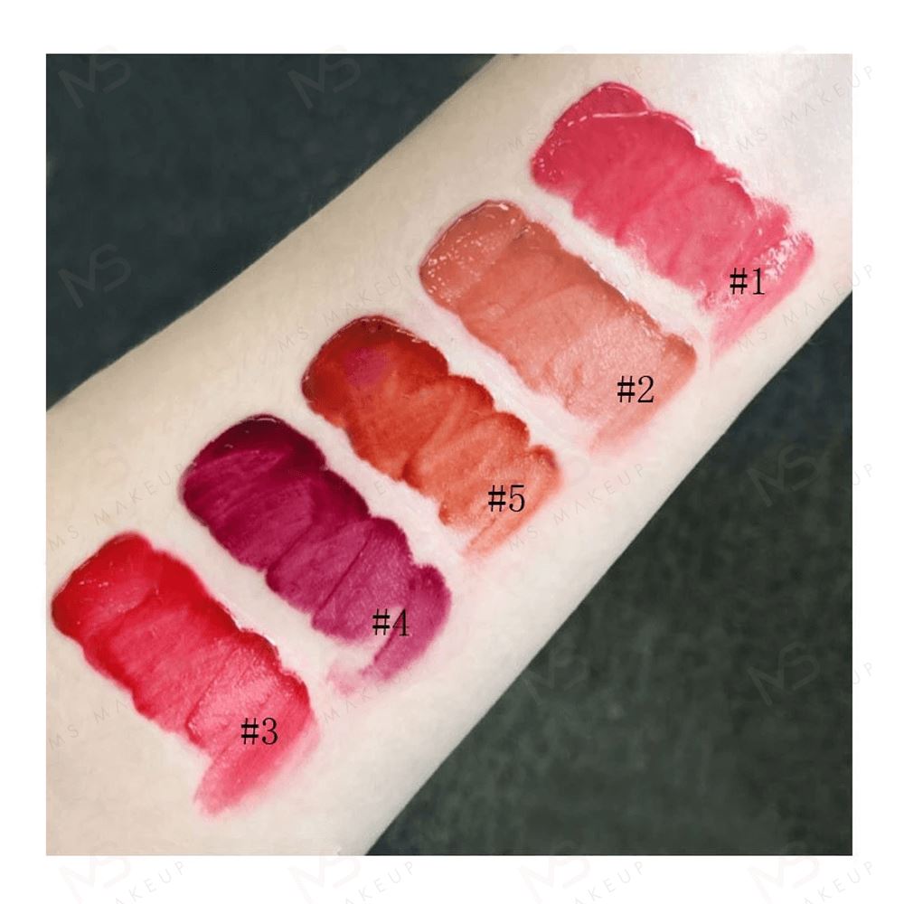 Brillos labiales de tubo redondo con tapa plateada de 5 colores