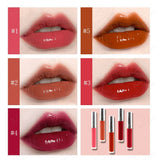 Brillos labiales de tubo redondo con tapa plateada de 5 colores