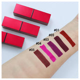 5 colors matte red square tube lipstick(50pcs free shipping)