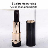 3 Colors in 1 Nourishing Fashion Color Natural Matte Lipstick Customize - MSmakeupoem.com