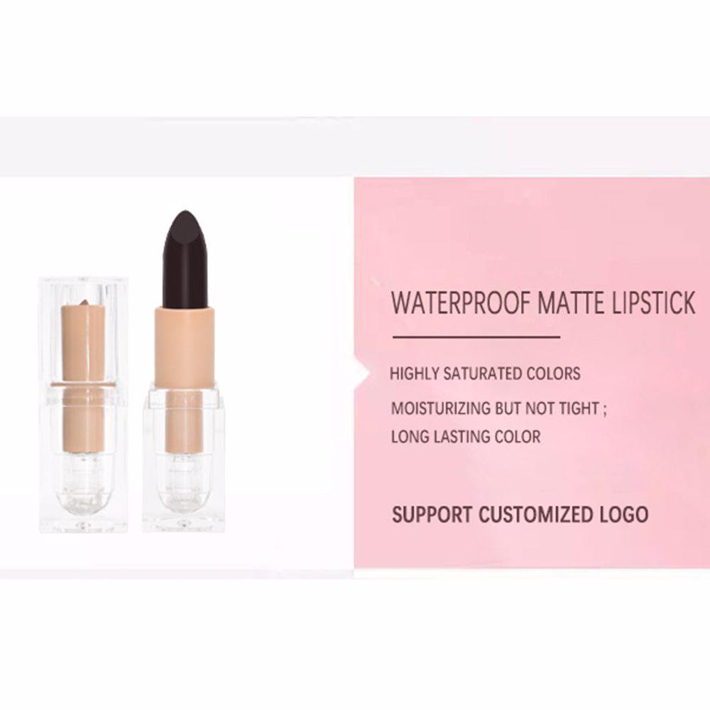 10 Color No Logo Lipsticks Matte / Crystal Square Tube Lipstick Customization - MSmakeupoem.com