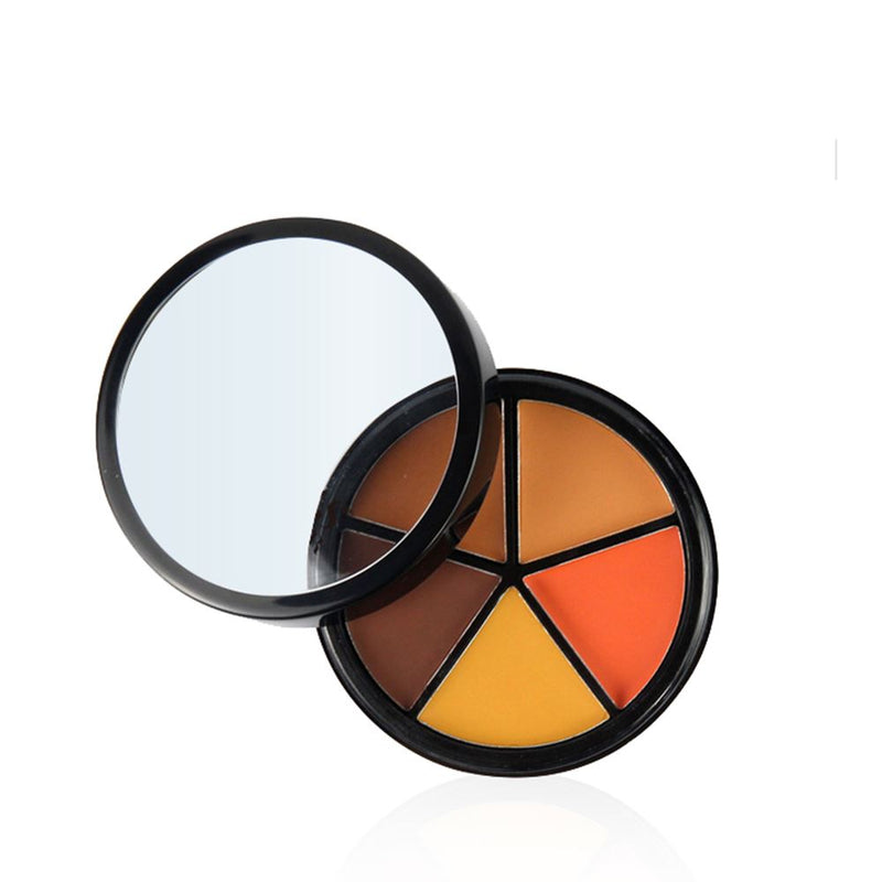Visage l.a pro maquillage correcteur 6 couleurs correcteur de cicatrice