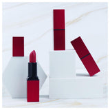 5 colors matte red square tube lipstick(50pcs free shipping)