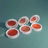 12 color blusher