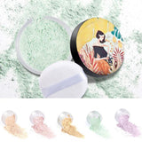 Paillettes cosmétiques de fond de teint OEM et poudre libre imperméable