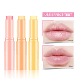 5 colors fruity lip balm