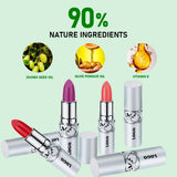 24 Colors Of Silver Tube Moisturizing Lipstick Long-lasting Color Retention Makeup
