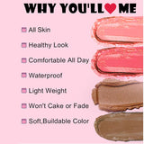 6-color Highlighter/Blush/Concealer/Cream Set