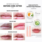 5 colors fruity lip balm