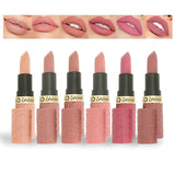 6-Piece Set Nude Matte Lipstick