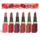 6-Piece Set Nude Matte Lipstick