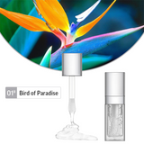 42 Colors Of Fruity Mild Lip Plumping Oil【#1-#33】