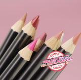 【ÉCHANTILLON】 Crayon à lèvres en tube noir de 21 couleurs - 【Livraison gratuite sur commande mixte de plus de 39,9 $】