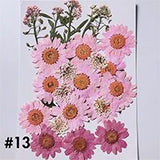 Dried Flower Material Face Stickers