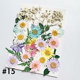 Dried Flower Material Face Stickers