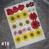 Dried Flower Material Face Stickers