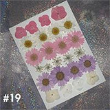Dried Flower Material Face Stickers