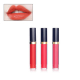 2 in 1 Cheek Lip Highlighter Makeup Liquid Lipstick and Blush - MSmakeupoem.com