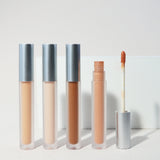 10 Colors Matte Silver Lid Liquid Concealer