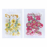 Dried Flower Material Face Stickers