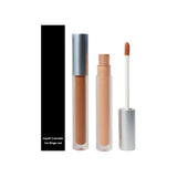 10 Colors Matte Silver Lid Liquid Concealer