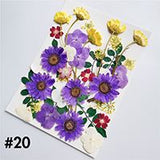 Dried Flower Material Face Stickers