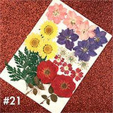 Dried Flower Material Face Stickers