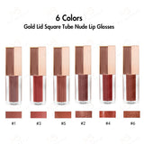 6 Colors Gold Lid Square Tube  Nude Lip Glosses