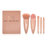 5pcs Plastic Handle Makeup Brushes In Nude Plastic Box