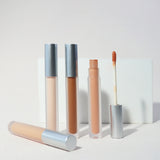 10 Colors Matte Silver Lid Liquid Concealer