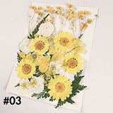 Dried Flower Material Face Stickers