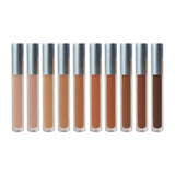 10 Colors Matte Silver Lid Liquid Concealer