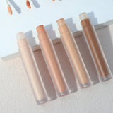 10 Colors Matte Silver Lid Liquid Concealer