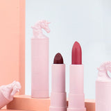 10 Farben Pink Lid Matte Flüssiger Lippenstift