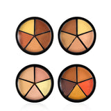 Visage l.a pro maquillage correcteur 6 couleurs correcteur de cicatrice