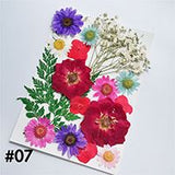 Dried Flower Material Face Stickers