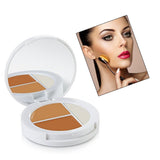 Organic Face Makeup Three Colors Highlighting Tinted Concealer